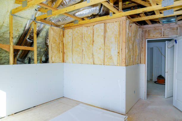 Best Cellulose Insulation in Morningside, MD