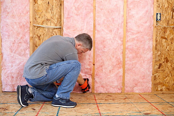 Best Spray Foam Insulation in Morningside, MD